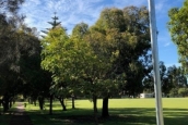 hamer-reserve1